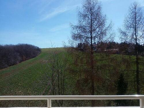 Balkonblick ins Grüne - 