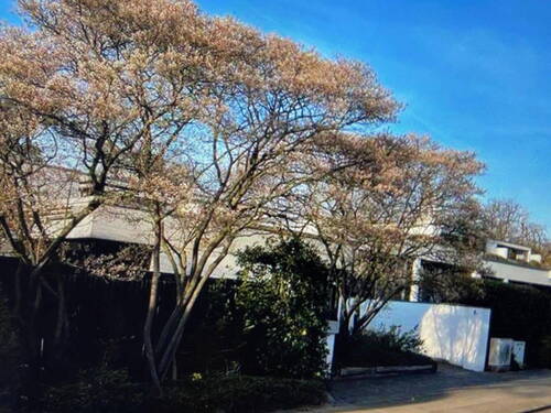 Habichtshorststraße - 