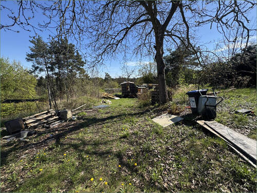 Bild 1 - Ihr Rückzugsort im Grünen - 1.468 m² Grundstück