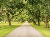 Der Abtnaundorfer Park - 