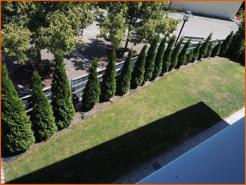 Garten eingefasst - 