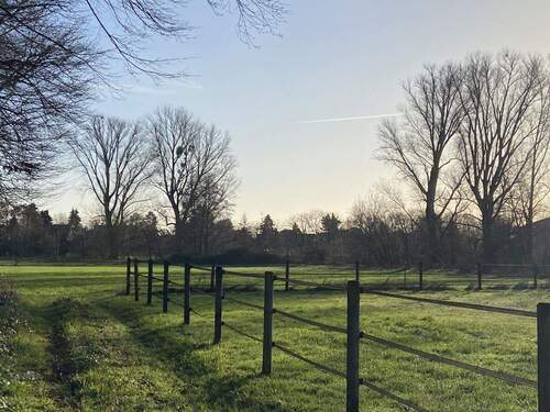 Naturschutzgebiet, Schwarzbach - 