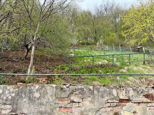Blick in den Garten - 