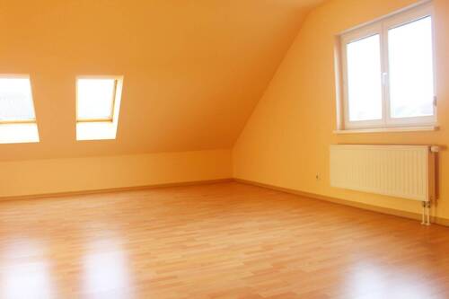 Dachstudio - 