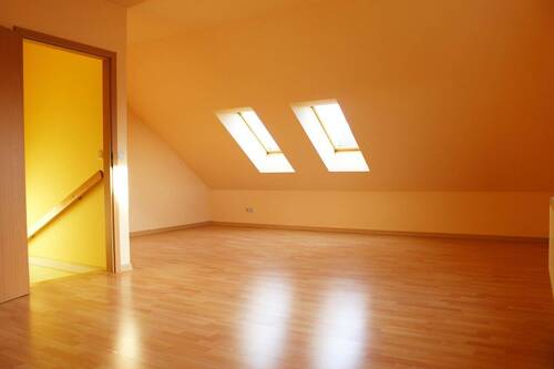 Dachstudio - 