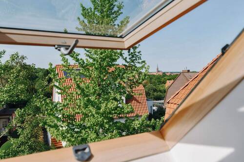 Ausblick - 