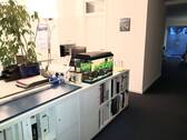 Schreibtischplätze 1 - Büro in Würzburg