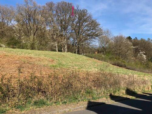 Bild 4 - Grundstück in Bollendorf zum Kaufen