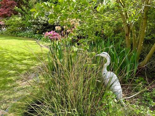 Kleiner Gartenteich - 