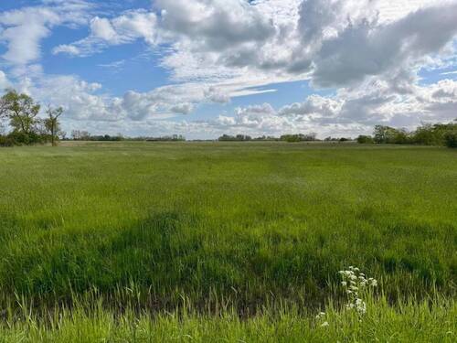 Ausblick Umgebung - 