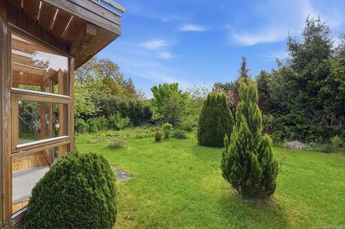 Blick in den Garten - 