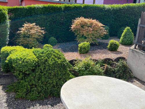 Garten - 