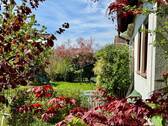 Anbau_Garten_1 - 