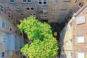Innenhof - 