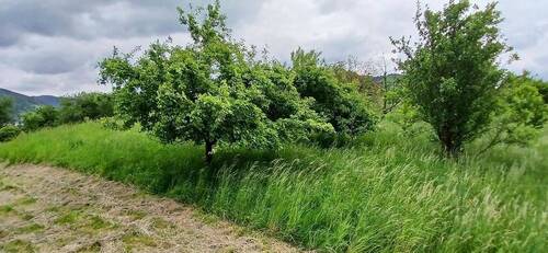 Rückansicht - 