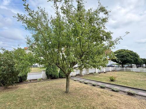 Garten - 