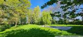 Blick in den Garten - 
