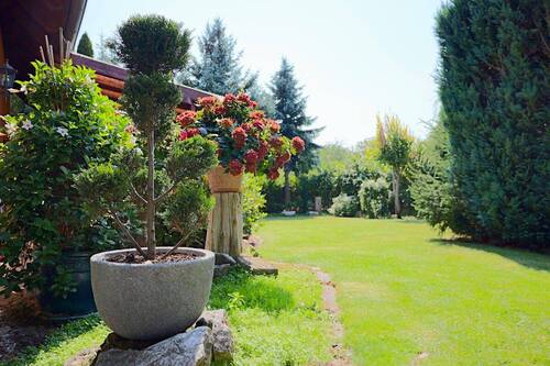 Garten - 