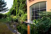 Teich - 