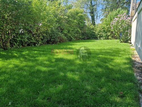 Garten zur Alleinnutzung - 3 Zimmer Gartenwohnung mit Blick ins Grüne Harlaching