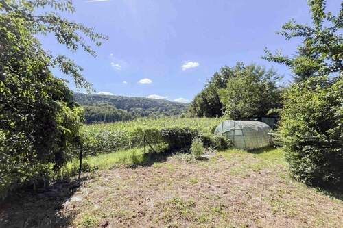 Obstbaumbestand - 