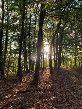 Naherholungsgebiet Fichtel - 