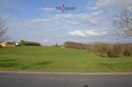 Bild 3 - Grundstück in Dauwelshausen