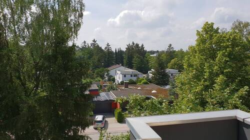 Ausblick ins Grüne - 