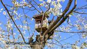 Naturfreundlicher Garten - 