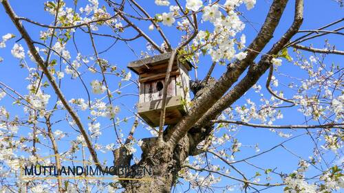 Naturfreundlicher Garten - 