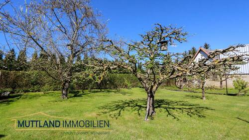 Garten mit tollem alten Obstbaumbestand - 