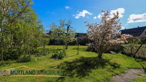 Garten mit tollem alten Obstbaumbestand - 