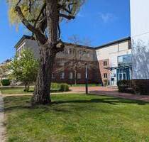 Moderne Bürofläche im Herzen von Stralsund im Stadtteil Tribseer