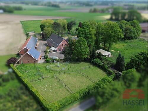 Ihr gesamtes Gelände - 