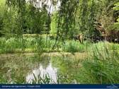 Schwimmteich - 
