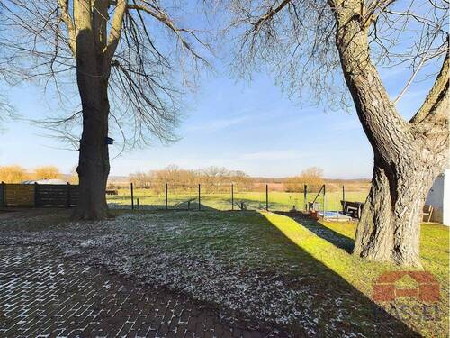 Hinter dem Haus hinaus - 