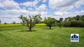 Gepflegter Garten - 