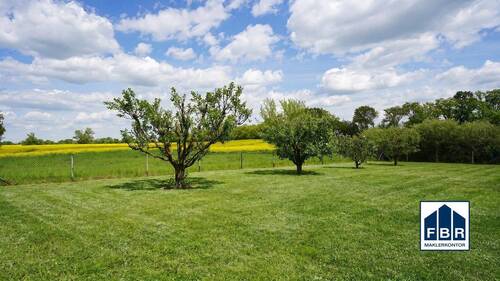 Gepflegter Garten - 