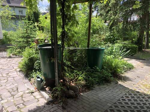 Blick vom Carport in den Garten - 