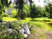 vorderer Garten - 