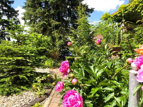vorderer Garten - 