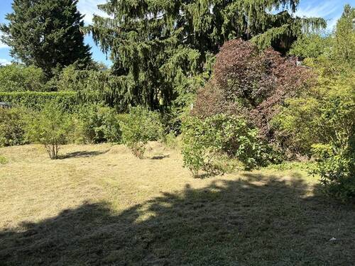 Garten - Großartiges Grundstück mit Altbestand in Lichterfelde