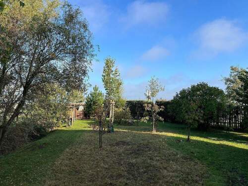 Blick in den Garten - 