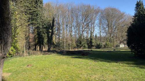 Impressionen des Parkgrundstücks_7.jpg - 