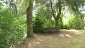 Impressionen des Parkgrundstücks_6.png - 