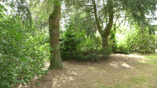 Impressionen des Parkgrundstücks_6.png - 