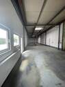 3. Halle - 