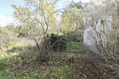 Garten(4) - 
