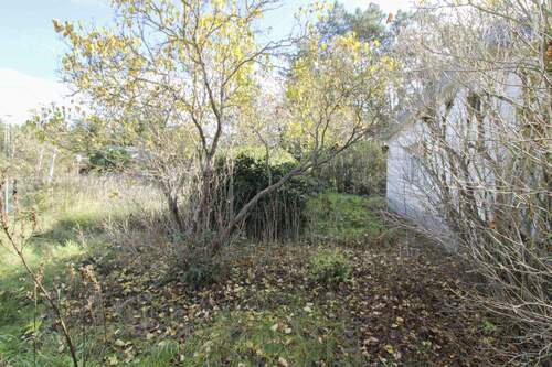 Garten(4) - 