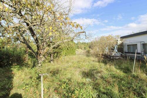 Garten(1) - 